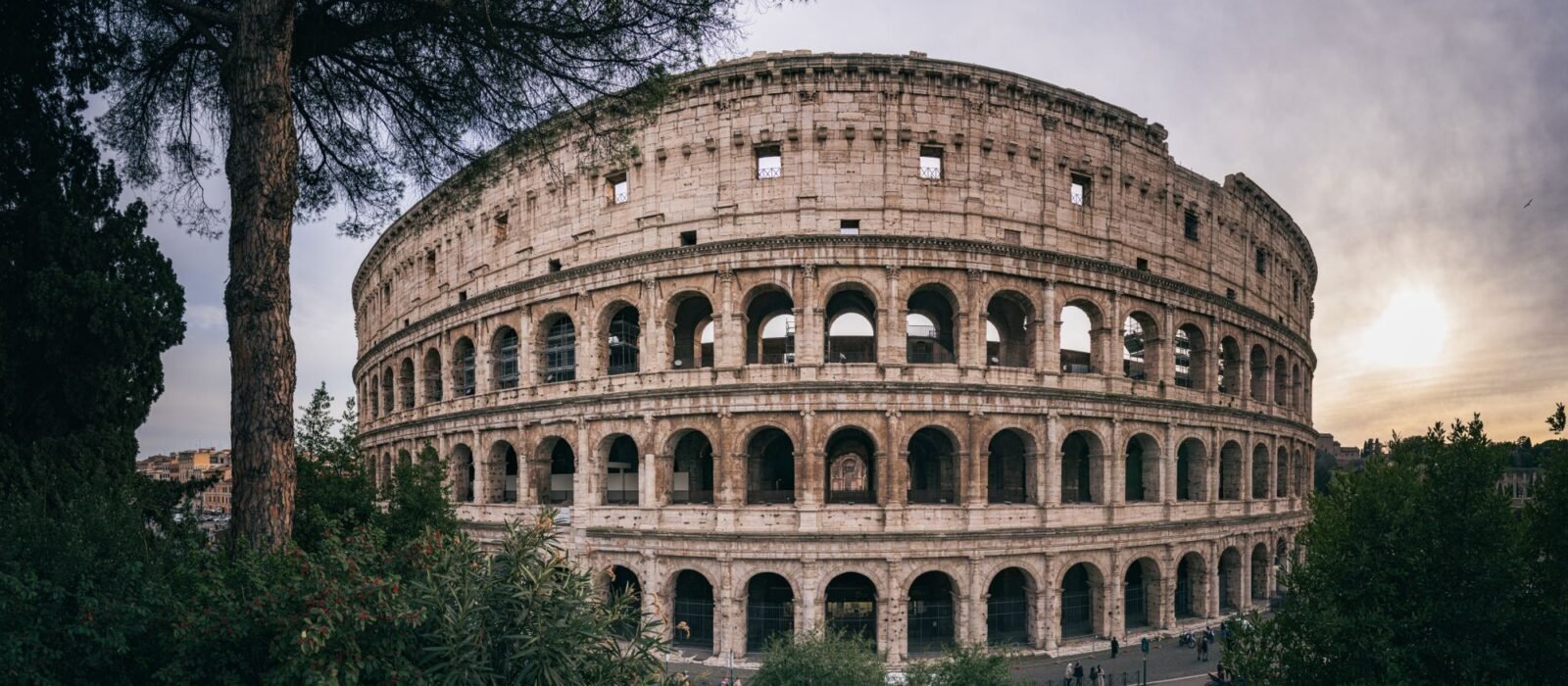 The Colosseum in Rome at dusk, framed by umbrella pines
